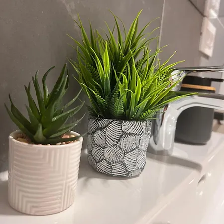 Appartement Adela Braşov