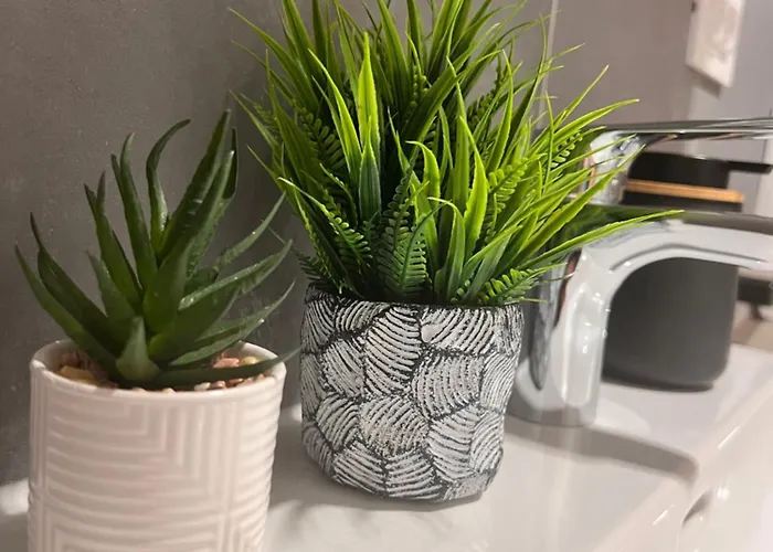 Apartment Adela Brasov